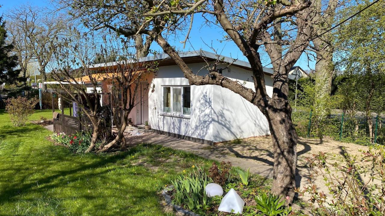Ferienhaus Bungalow Im Erlengrund